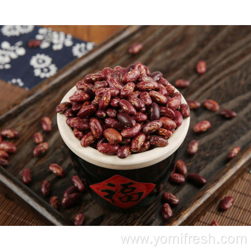 Kidney Beans 100G